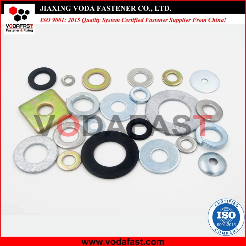 Carbon Steel Stainless Steel Flat Washers Plain Washers Spring Lock Washers Zinc Plated